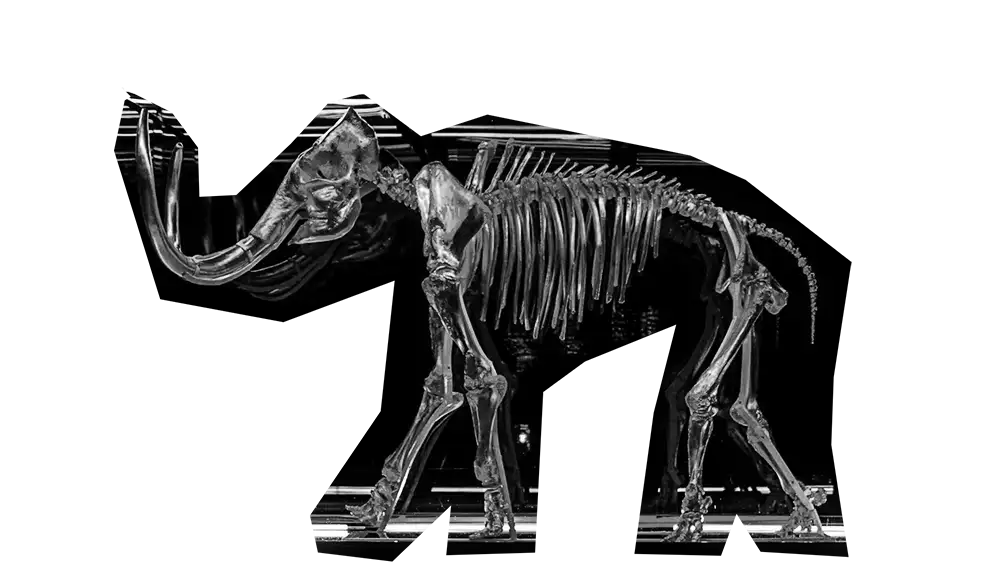 mammoth 01 bg